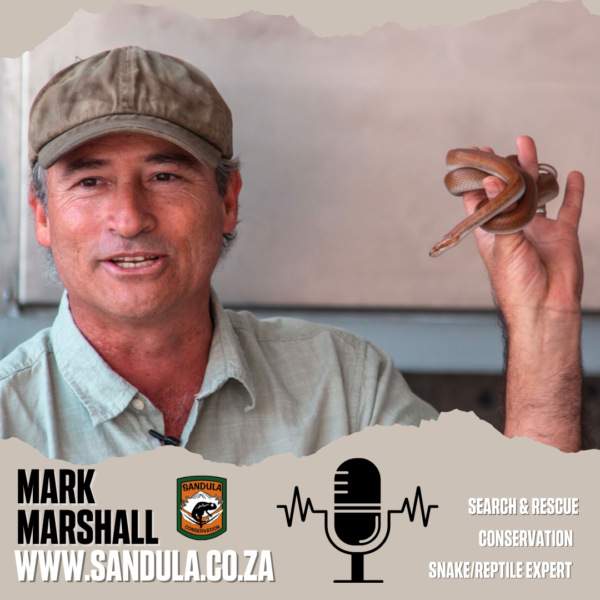 Mark Marshall - Puff Adder