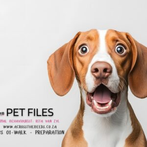 Pet Tips: Top tips for your fury friends - Available in English and Afrikaans