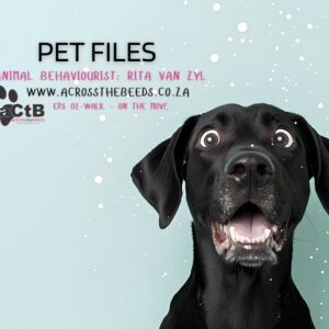Pet Tips: Top tips for taking your dog for a walk, on the walk - Available in English and Afrikaans