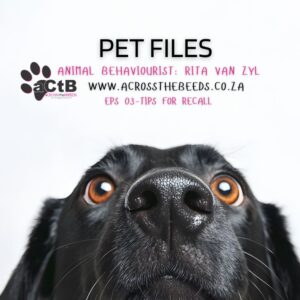 Pet Tips: Top tips for recall - Available in English and Afrikaans